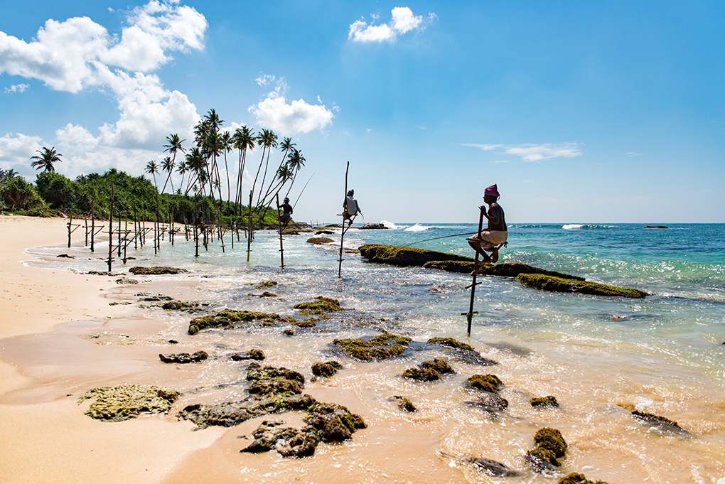 Stilt Fisherman on a beach in Sri Lanka