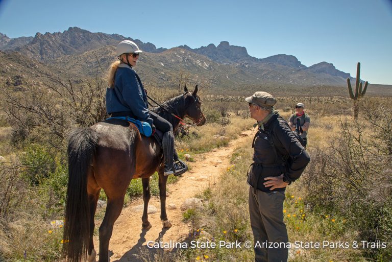 Horse riding in Catalina State Park Arizona. There's room to explore in Phoenix Arizona