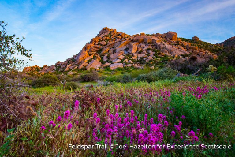Feldspar Trail McDowell Sonoran Preserve Scottsdale Arizona 14Jul21