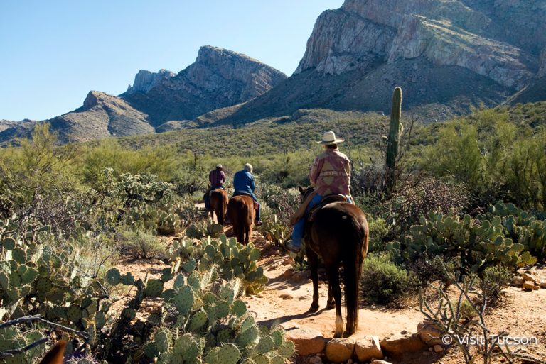 Horse Riding in the mountains of Tucson, Arizona
