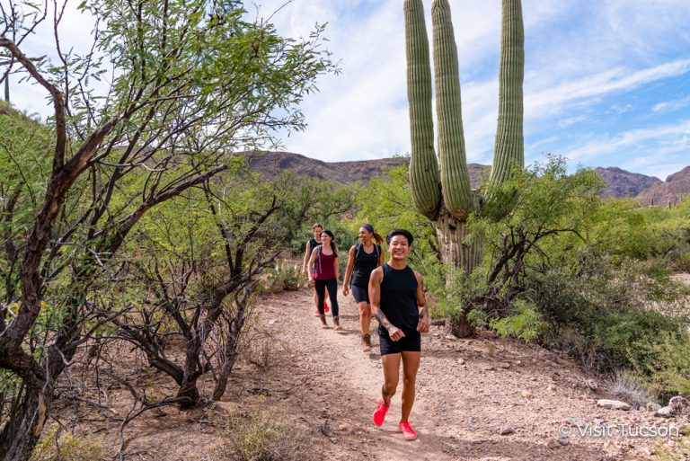 hiking among cacti in Tucson Arizona. Visit Tucson with Charitable Travel