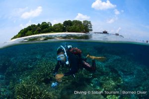 Diving Sabah Tourism Borneo Divers 15Mar22