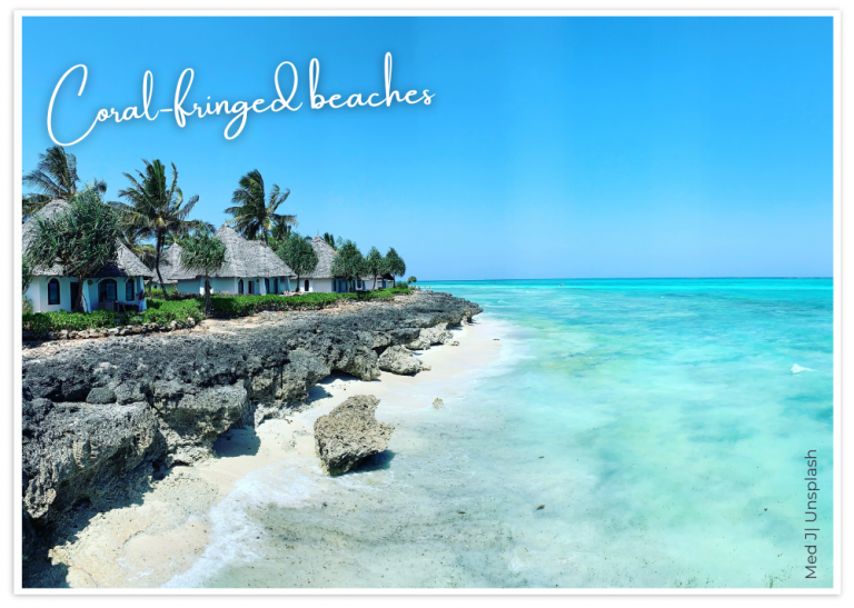Coral beach Get to Know Zanzibar JulAug22 Issue 11 30Jun22