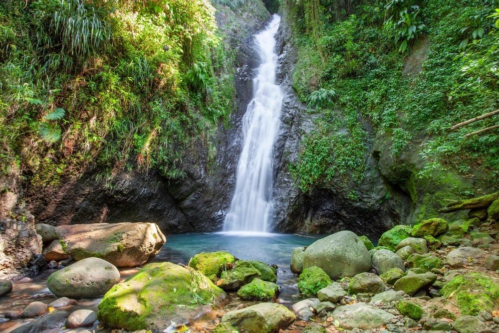 Grenada Waterfall 14Jun22