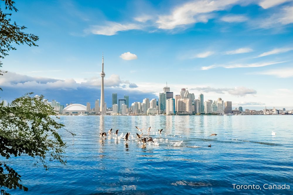 Lizzi's Luxury Edit Toronto Bay View Swans Canada 26Jul22