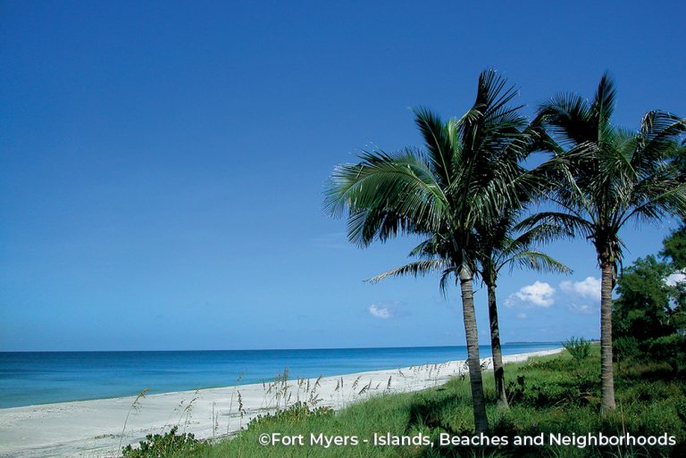 Beach Palms CREDIT Fort Myers - Islands, Beaches adn Neighborhoods 25Aug22
