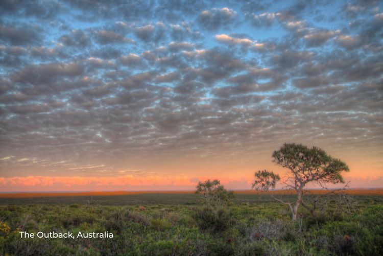 The Outback, Australia 09Aug22