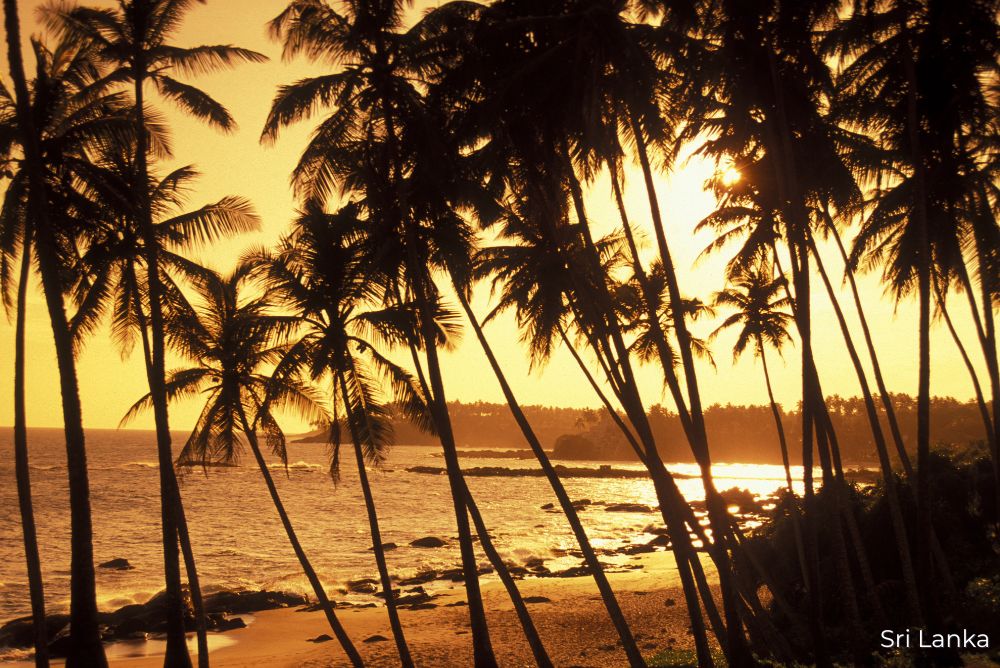 Sri Lanka beach sunset Sri Lanka Lizzi Luxury Blog 13Sep22