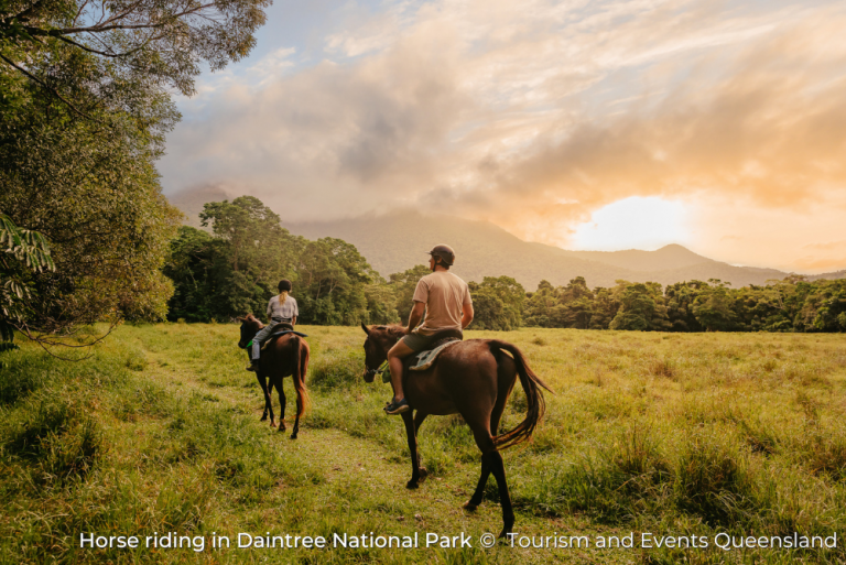 Horseriding in Daintree National Park