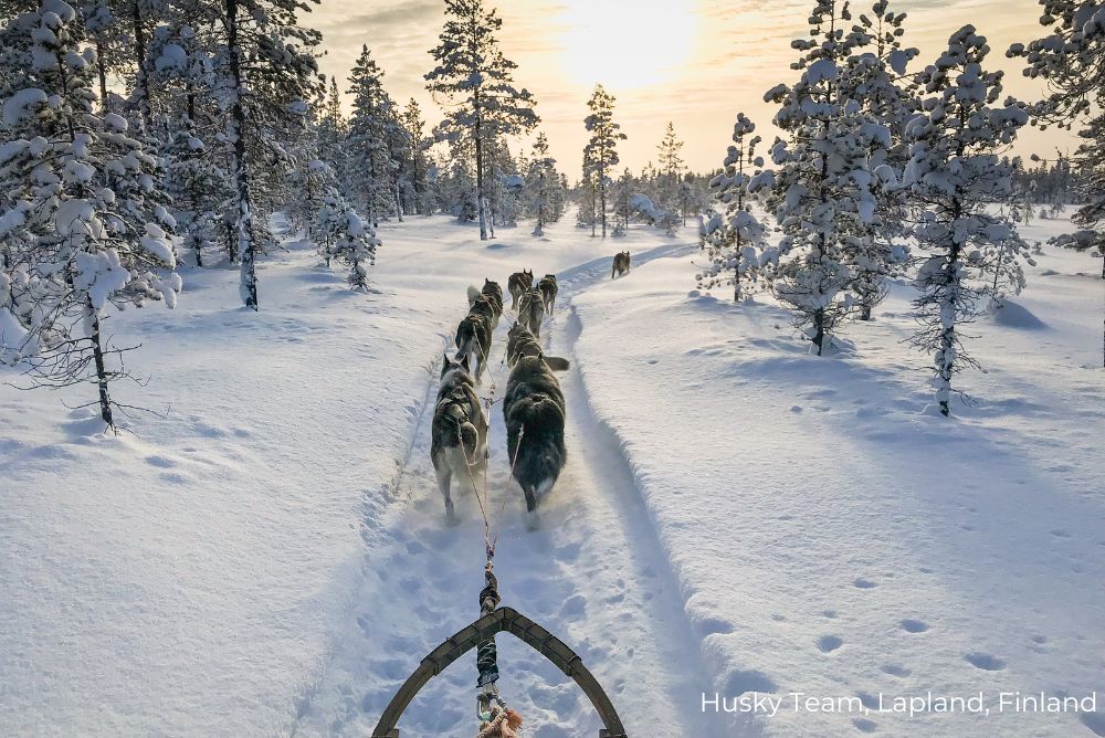 Husky Team Lapland Finland Lizzis Luxury Edit 18Oct22