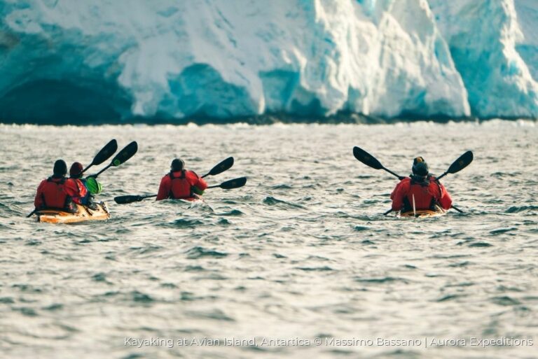 Kayaking at Avian Island, Antartica Aurora Expeditions 13Dec22
