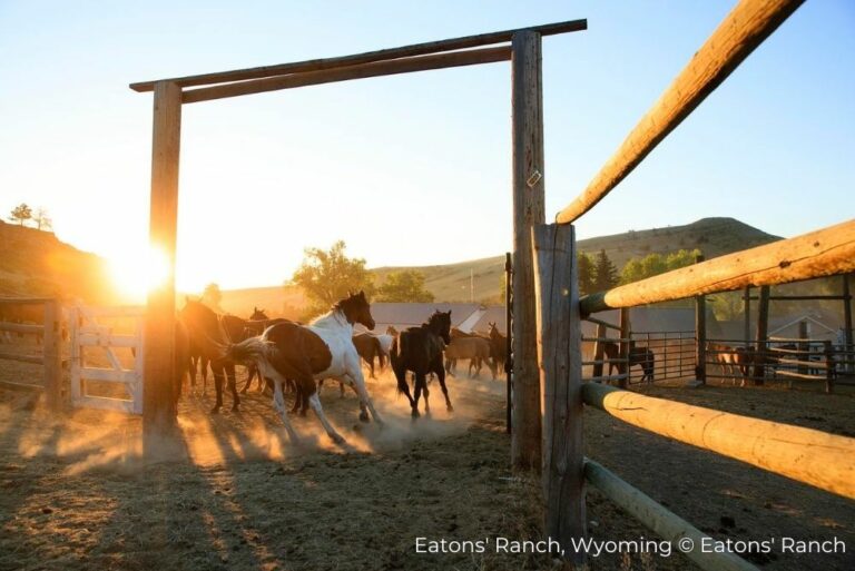 Great American West Horseback Eatons' Ranch Wyoming 22March23