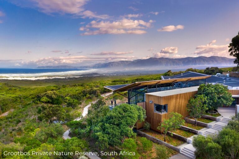 Lizzi phenomenal sustainable hotels in South Africa Grootbos Private Nature Reserve 13Apr23