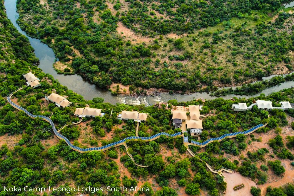 Lizzi phenomenal sustainable hotels in South Africa Noka Camp, Lepogo Lodges South Africa 13Apr23