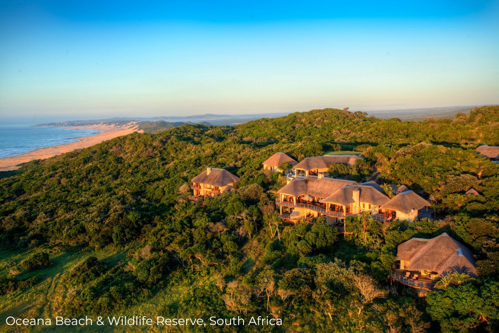 Lizzi phenomenal sustainable hotels in South Africa Oceana Beach Lodge retitled South Africa 13Apr23