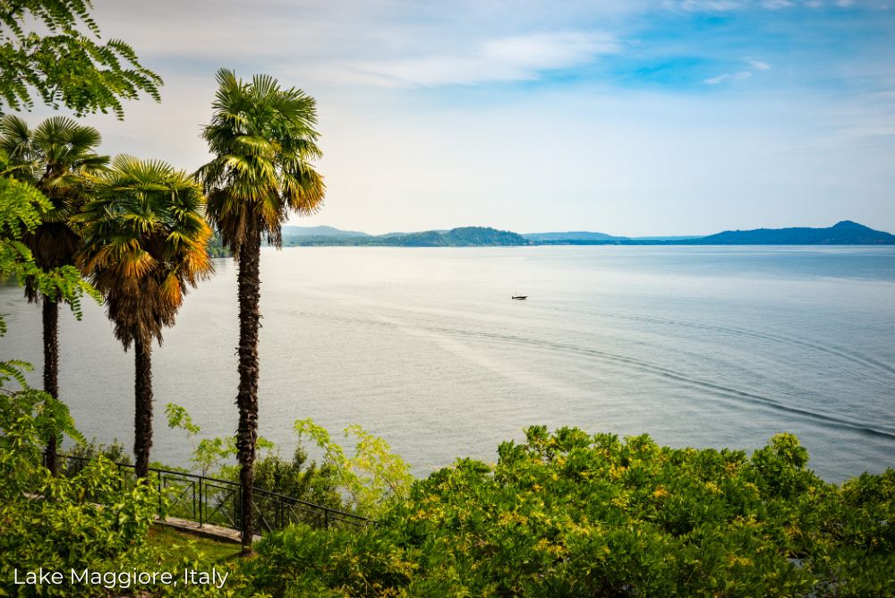 Highlights of Italy Lake Maggiore, Italy Palm trees 25May23