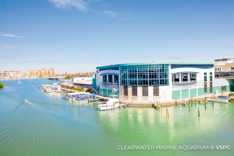 Clearwater Marine Aquarium St Pete Sustainable Florida 02Jun23