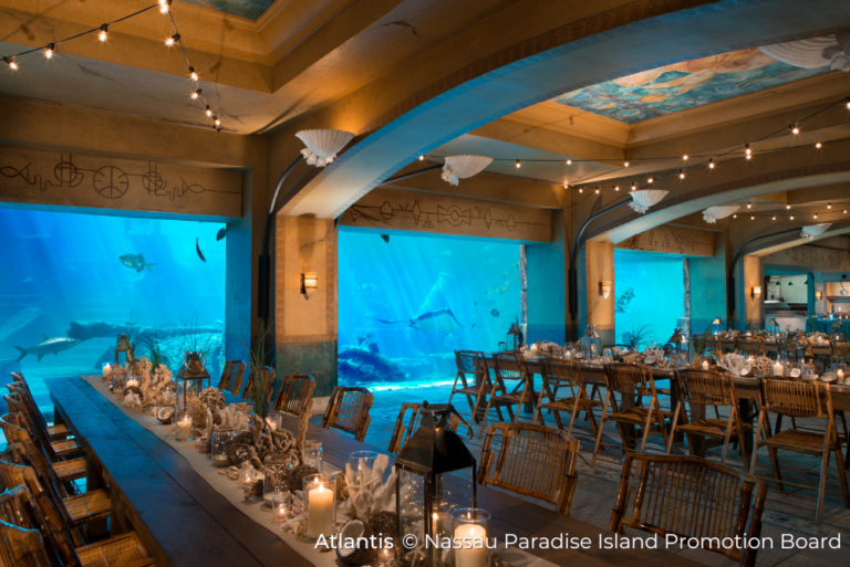 Atlantis Resort Fathoms Sustainable Nassau Paradise Island 20Jul23