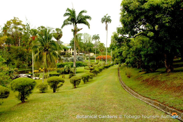 Botanical Gardens Sustainable Tobago 15Jul23