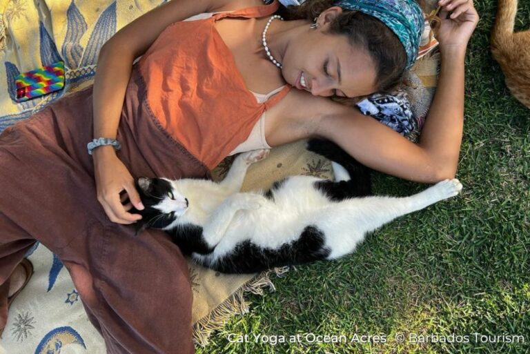 Cat Yoga Sustainable Barbados 12Jul23