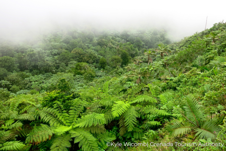 Foggy weather Kyle Wicomb Sustainable Grenada 18Jul23