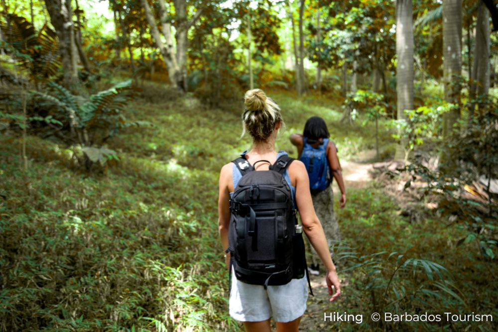 Hiking Sustainable Barbados 12Jul23