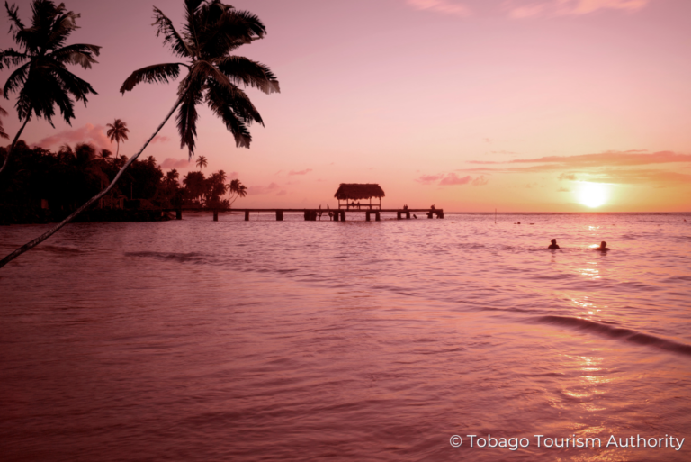 sunset swim Sustainable Tobago 15Jul23