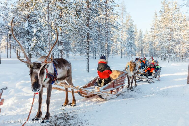 Lizzis Luxury Edit_ Fantastic Christmas Holiday Options Lapland, Sweden Christmas sleigh 30Aug23