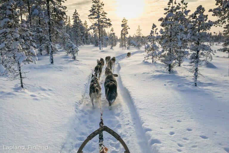 Lizzis Luxury Edit_ Fantastic Christmas Holiday Options Lapland, Sweden dog sleigh 30Aug23