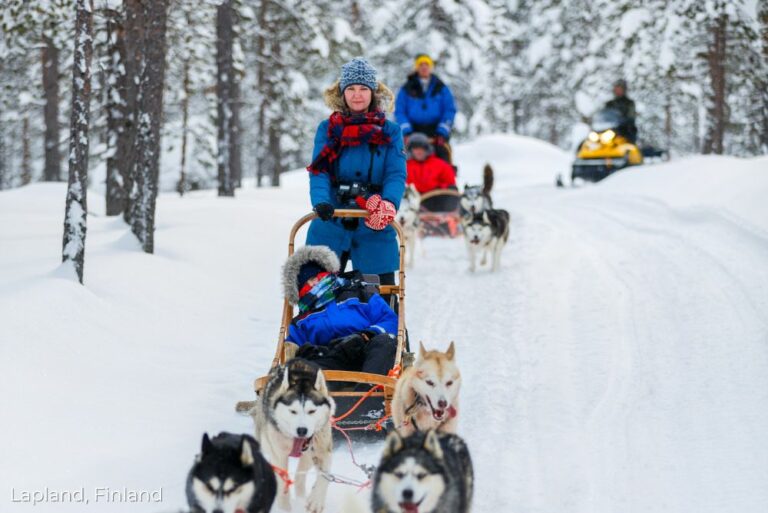 Lizzis Luxury Edit_ Fantastic Christmas Holiday Options Lapland, Sweden sleigh team 30Aug23