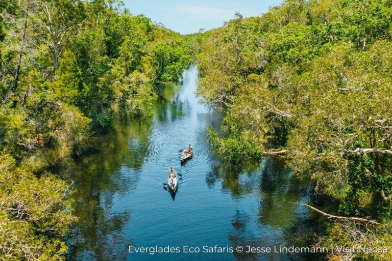 Noosa Everglades Eco Safari 23Aug23