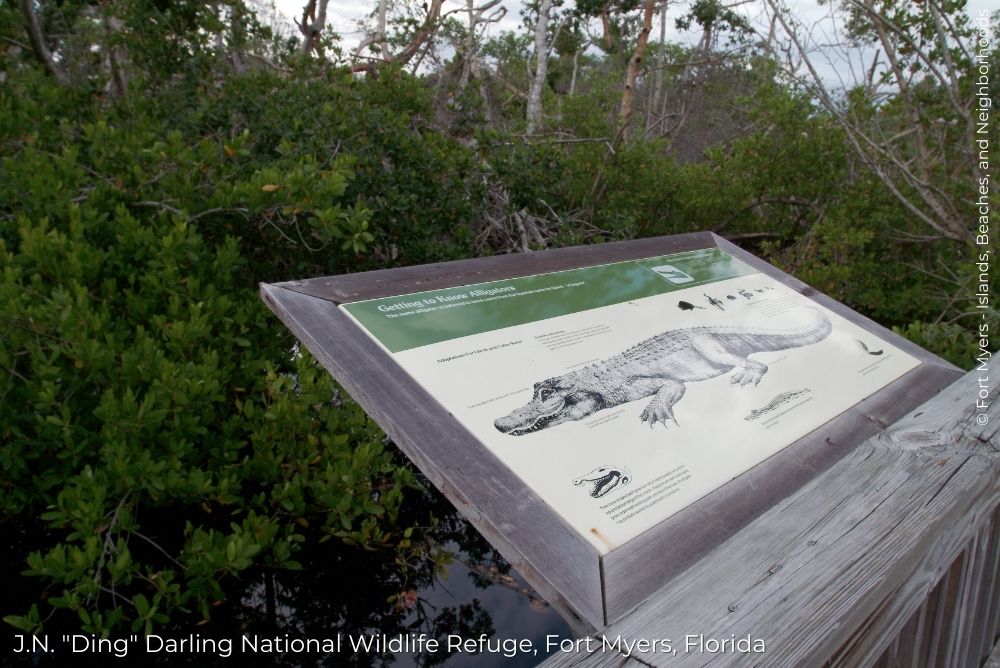 Fort Myers Blog J.N. Ding Darling National Wildlife Refuge Alligator sign 2 14Sep23