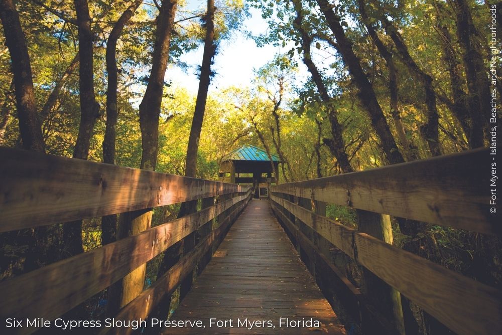 Fort Myers Blog Six Mile Cypress Slough Preserve trail 2 14Sep23