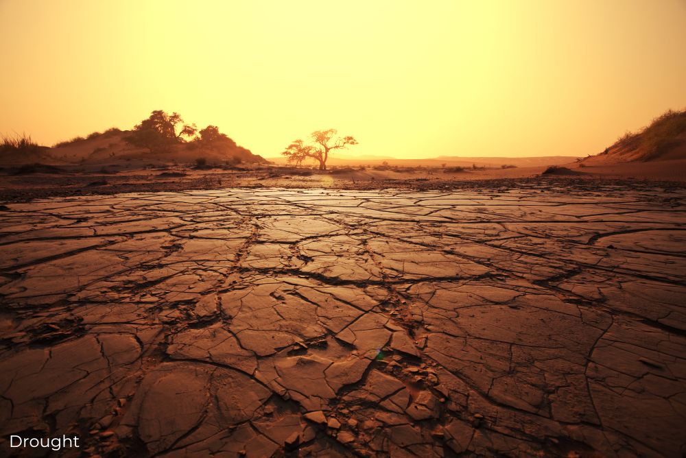 Exciting developments in the world of travel Drought 24Oct23
