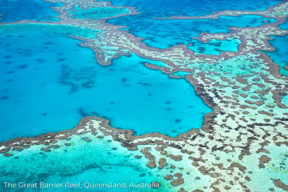 The Great Barrier Reef, Queensland Australia 2 12Oct23