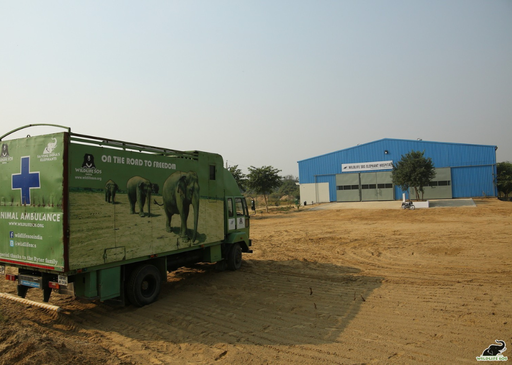 The elephant ambulance stationed outside the hospital
